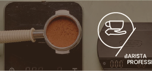 SCA Barista Professional